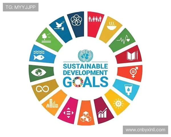 以企业家健康为核心构建全面发展与可持续成长的新理念框架体系