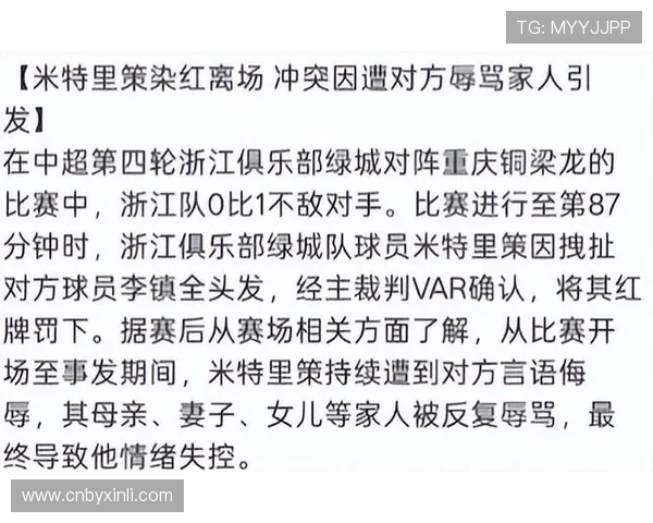 李镇全回应米特里策辱骂事件：语言不通误会